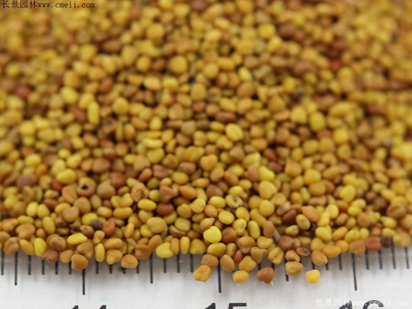 1712198165970769.jpg 16-1F422103305523.jpg