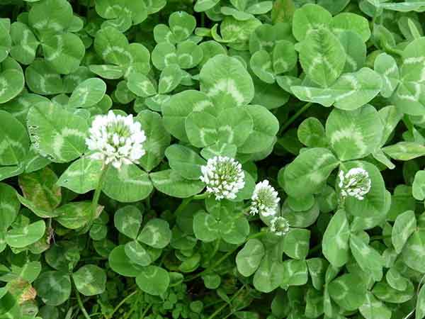 1712198170899093.jpg 1-1F501133Q2337.jpg