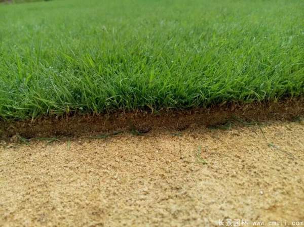 1712368897634799.jpg 1-1F5010J401228.jpg