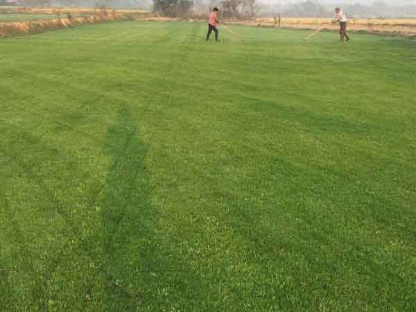 1712457235480359.jpg 1-1F22410124H42.jpg