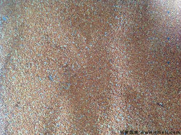 1712542268936136.jpg 1-1F51G95I1Q3.jpg