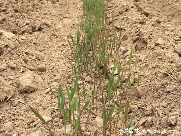 1712630320389033.jpg 1-1ZZ51A63a63.jpg