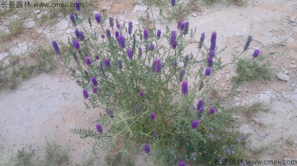 1712888575359589.jpg 1-1F503103641b9.jpg