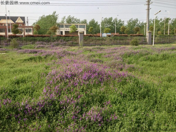 1712888580393734.jpg 1-1F503103642W2.jpg