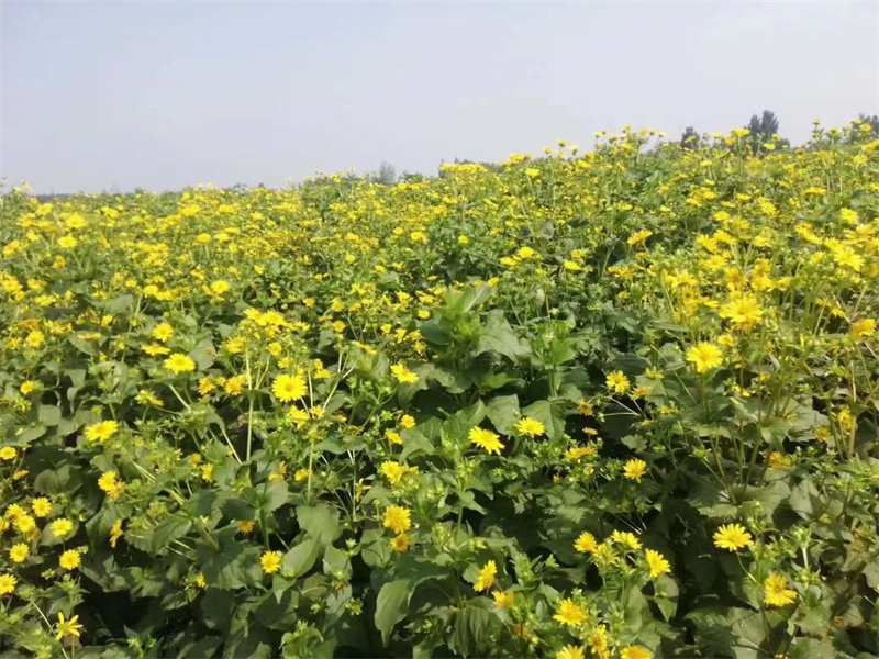 1634197487110467.jpg 224694e89c8375276325aeb4d174782.jpg