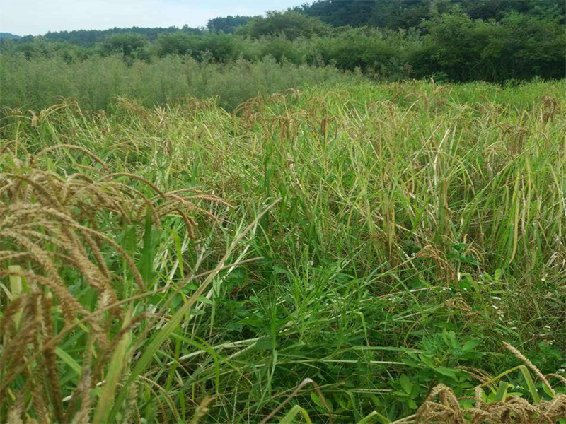 1635127038902292.jpg 4b666f1bc8a1b9005fbf9e65c1a4067.jpg